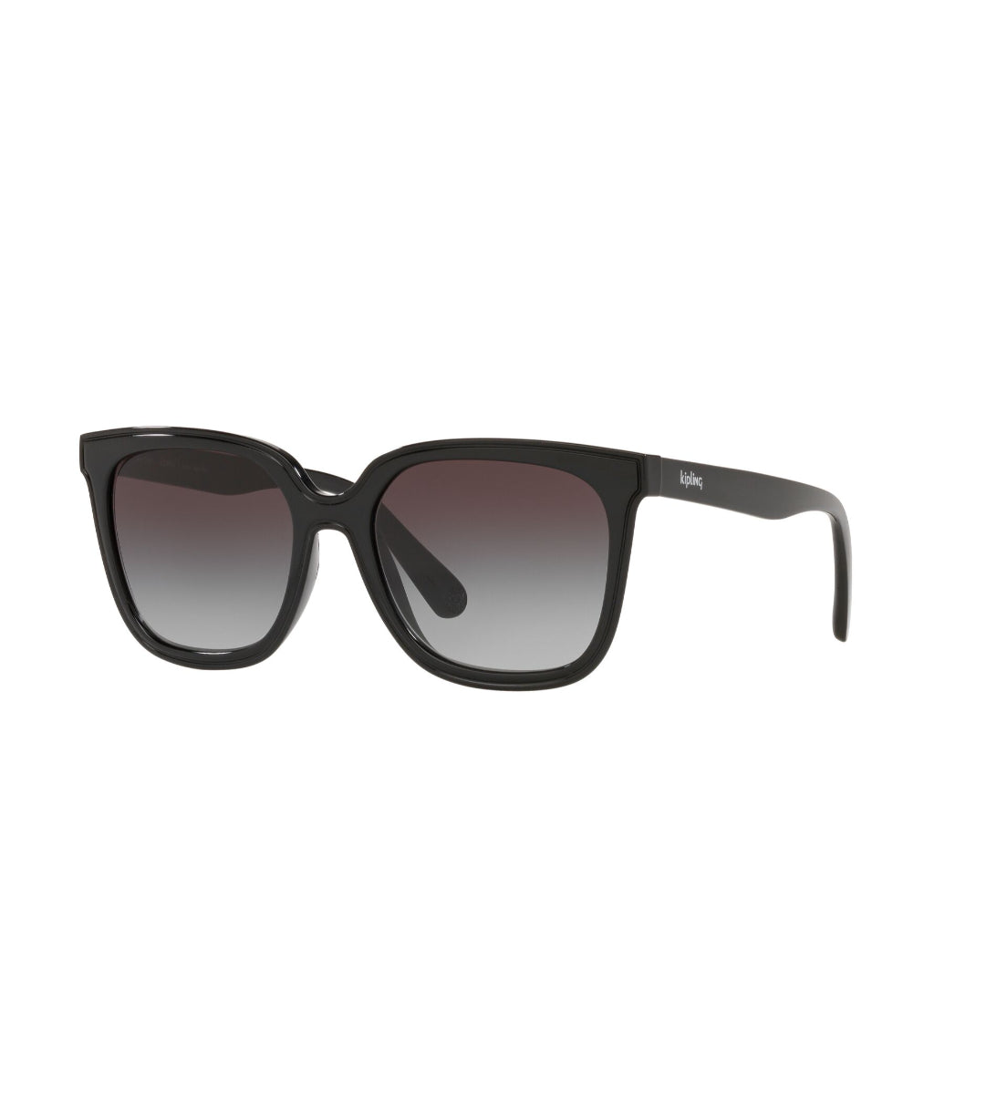 Gafas de Sol Kipling KP4068 I674