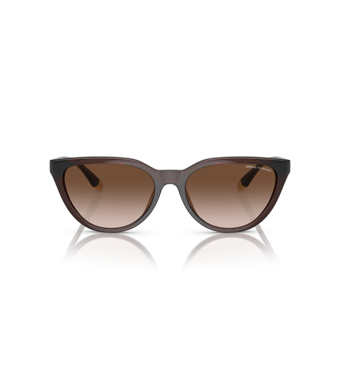 Gafas de Sol Armani Exchange AX4130 SU806313
