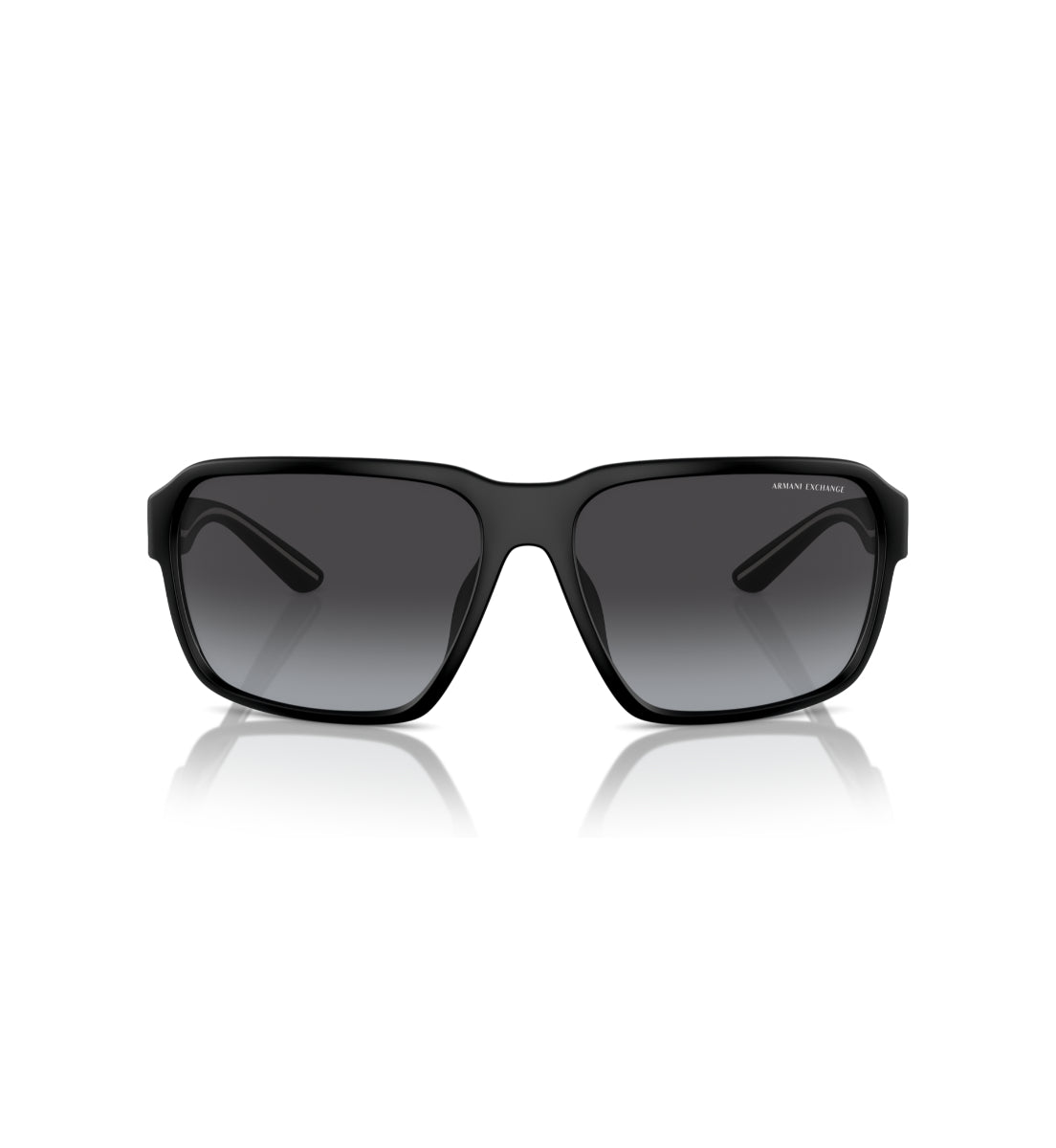 Gafas de Sol Armani Exchange AX4131 SU810087