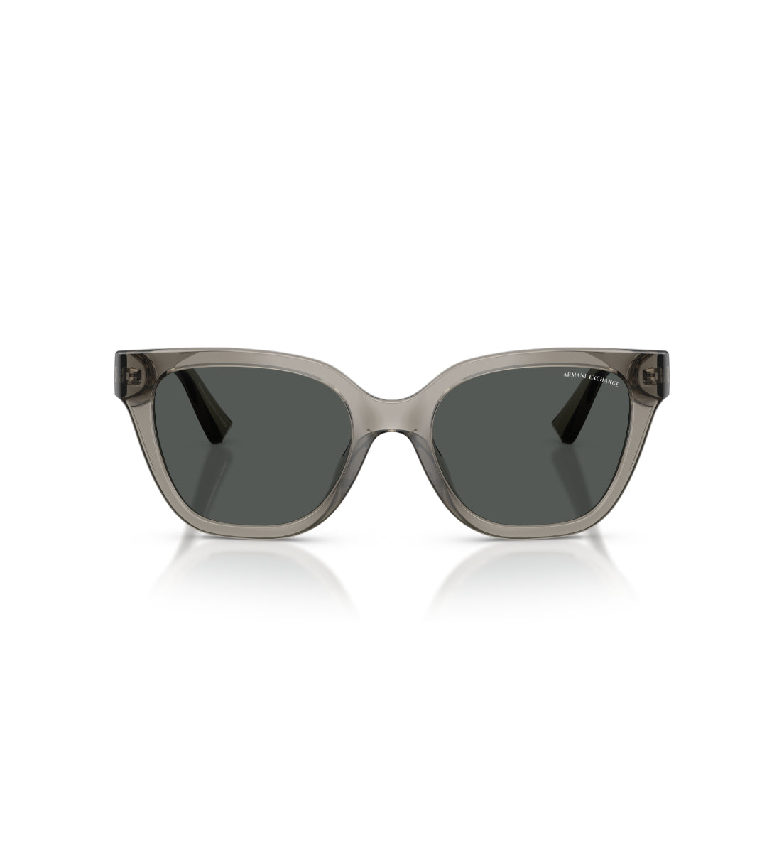 Gafas de Sol Armani Exchange AX4164SU AX4164 839487 53