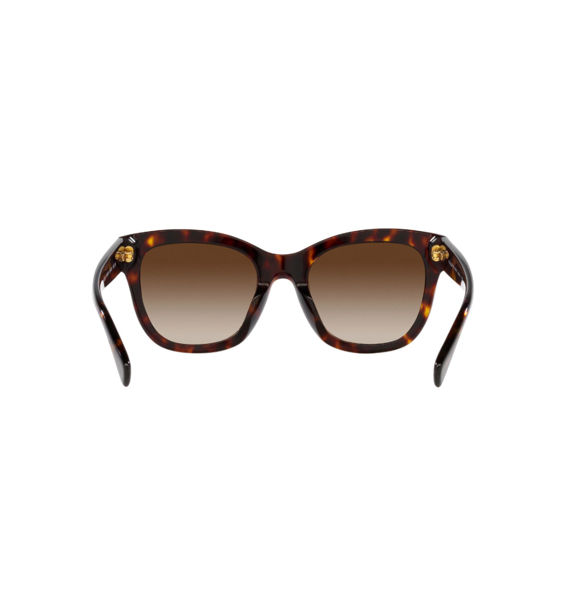 Gafas de Sol Ralph RA5301 U500313
