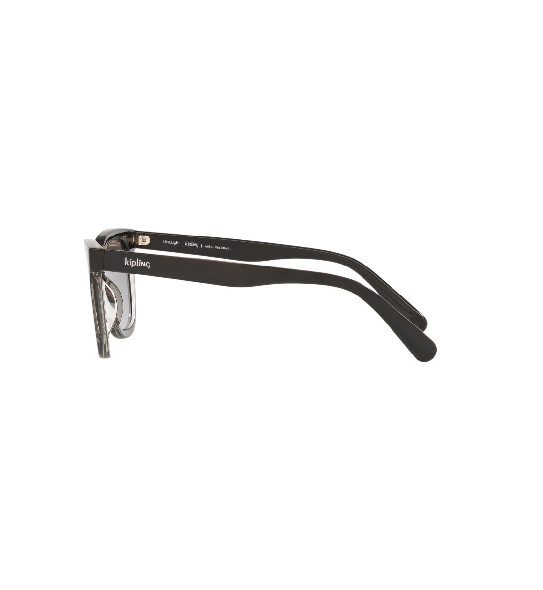 Gafas de Sol Kipling KP4065 H856