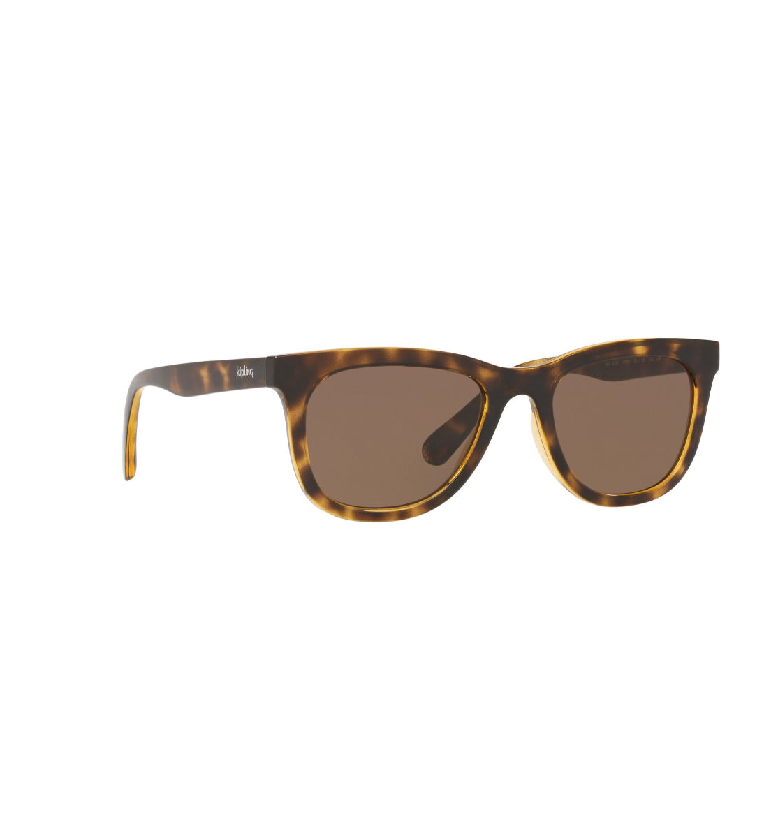 Gafas de Sol Kipling KP4065 H858