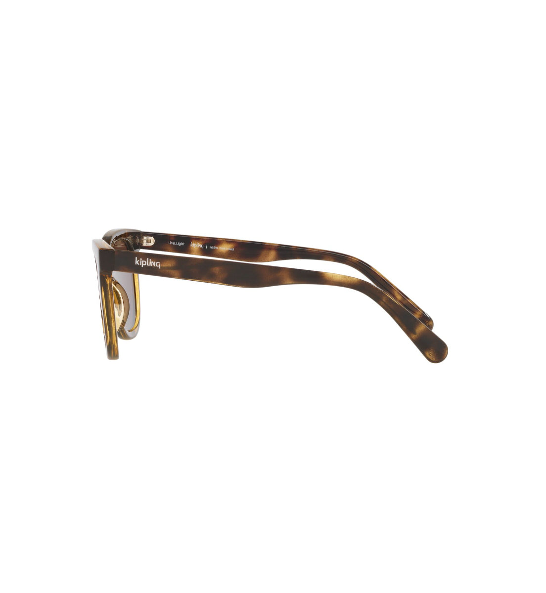 Gafas de Sol Kipling KP4065 H858