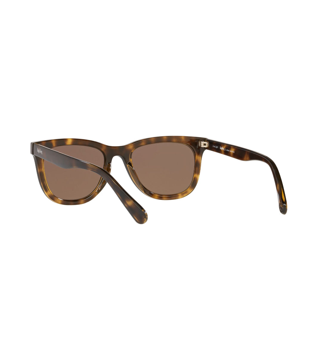 Gafas de Sol Kipling KP4065 H858