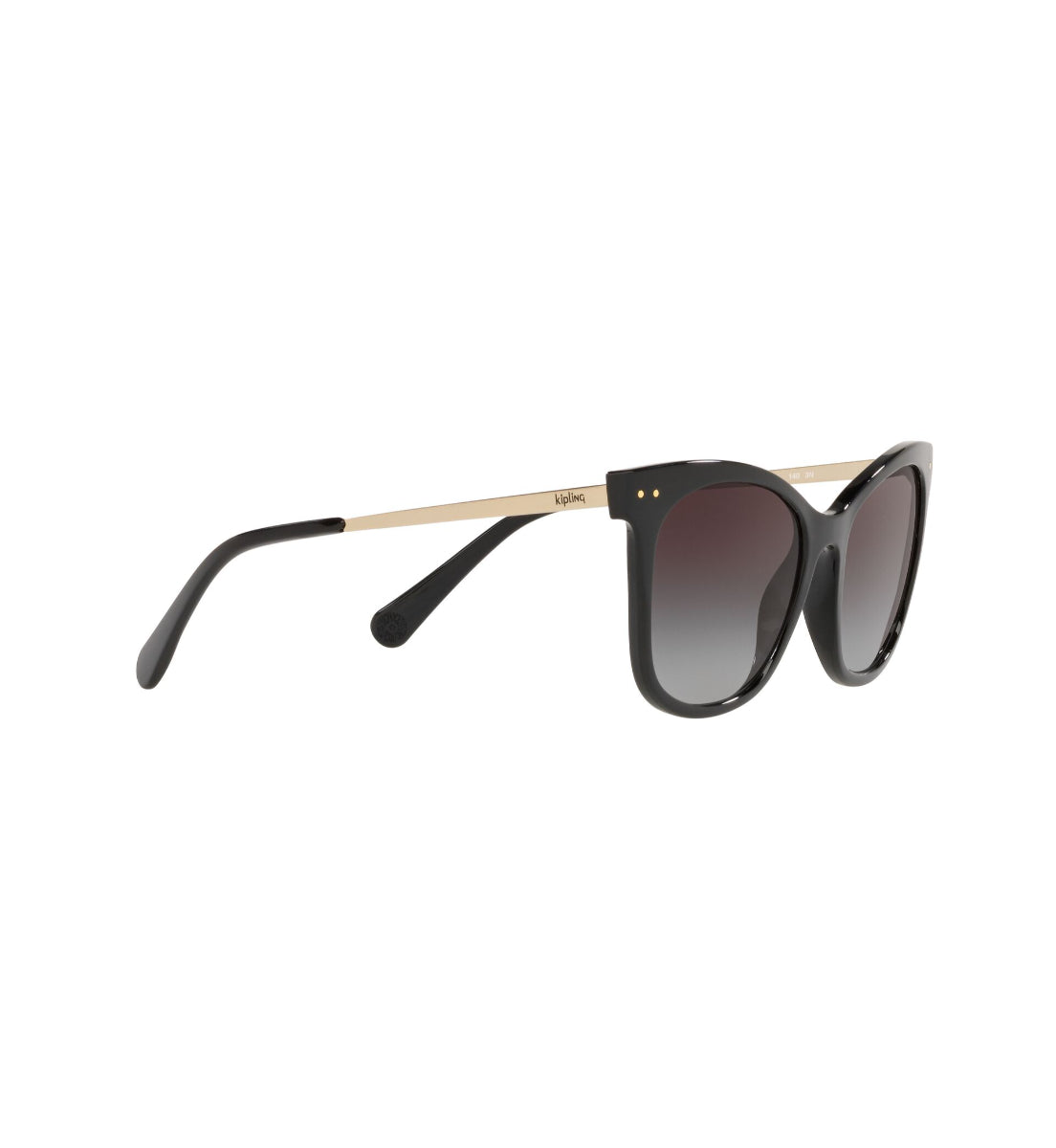 Gafas de Sol Kipling KP4067 I670
