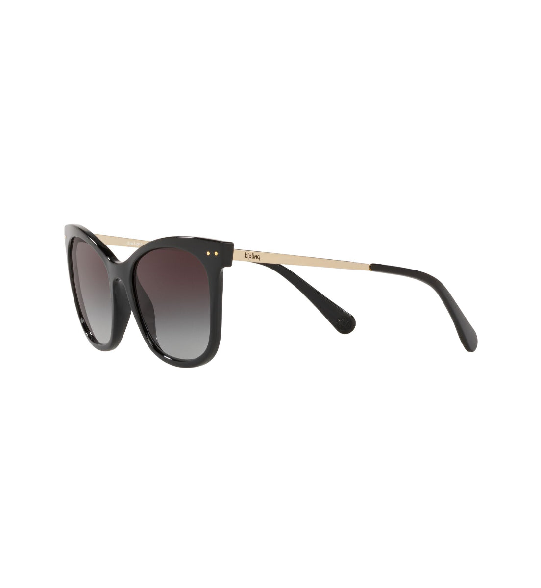 Gafas de Sol Kipling KP4067 I670