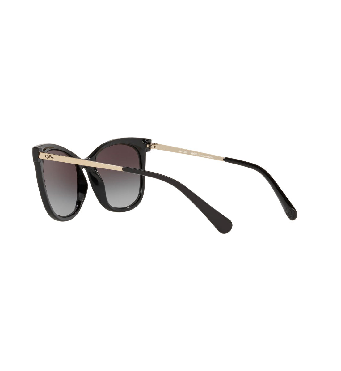 Gafas de Sol Kipling KP4067 I670