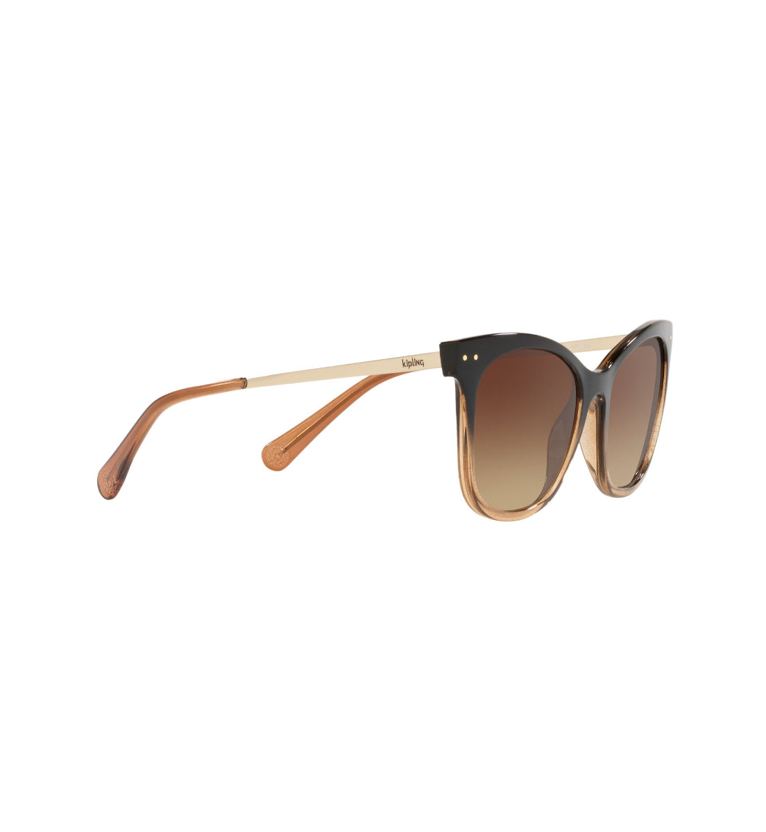 Gafas de Sol Kipling KP4067 I671