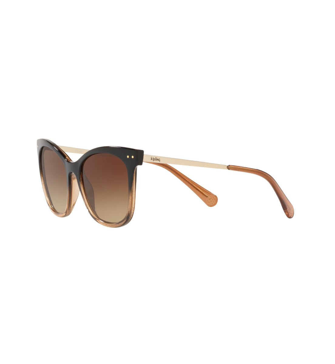 Gafas de Sol Kipling KP4067 I671