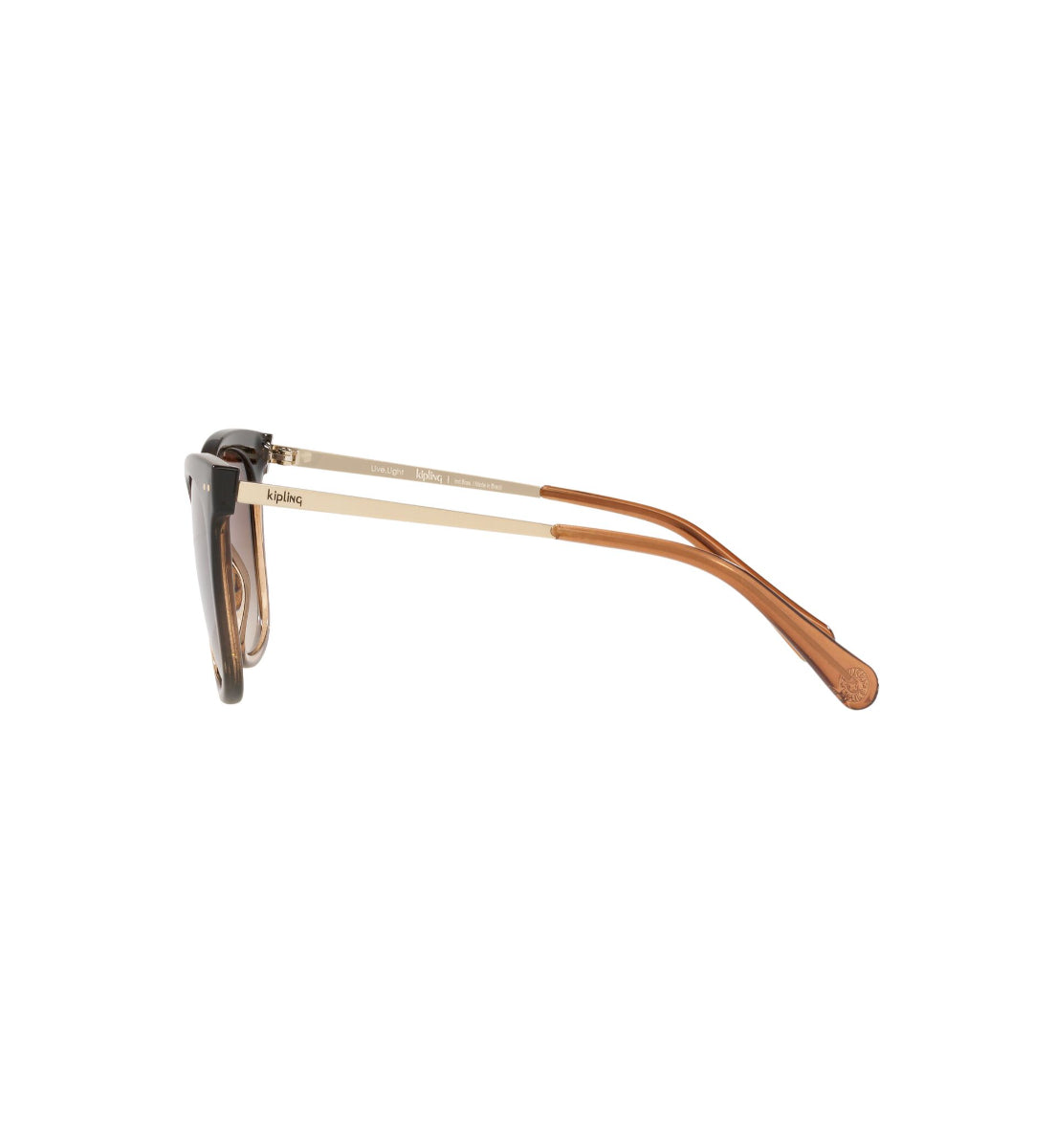 Gafas de Sol Kipling KP4067 I671