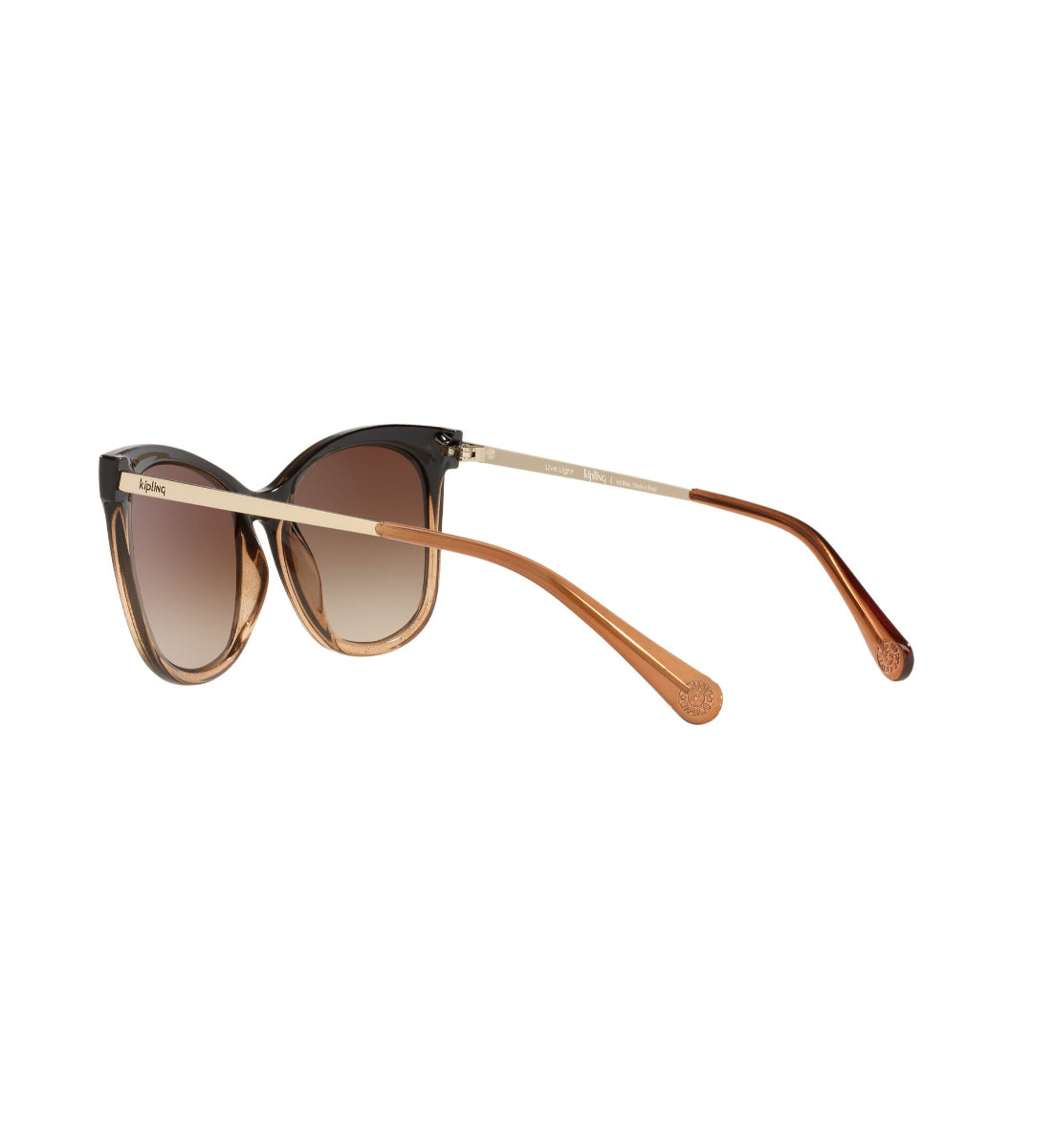 Gafas de Sol Kipling KP4067 I671