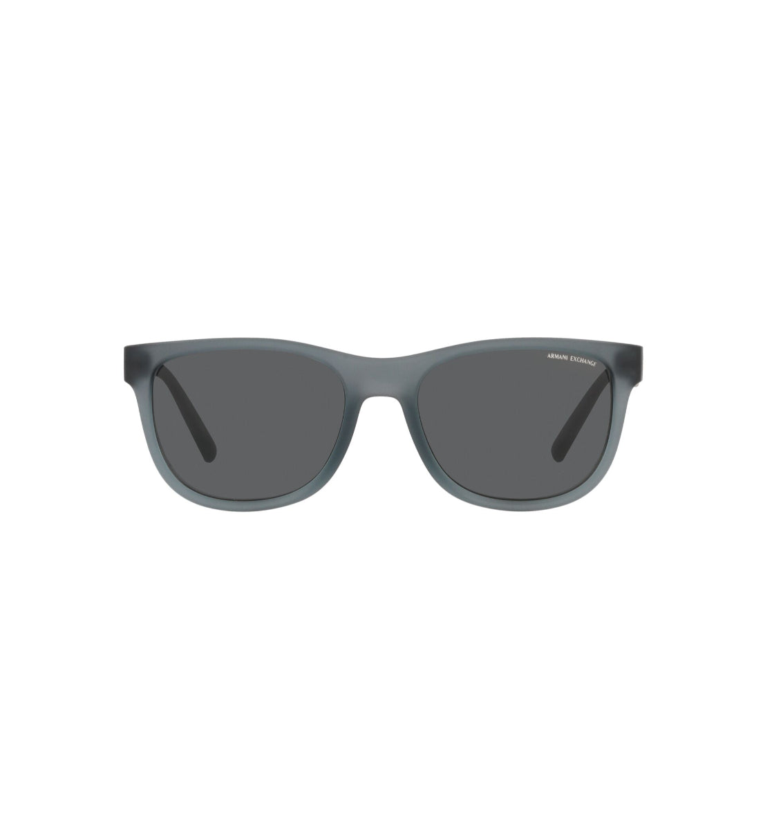 Gafas de Sol Armani Exchange AX4103S S816587