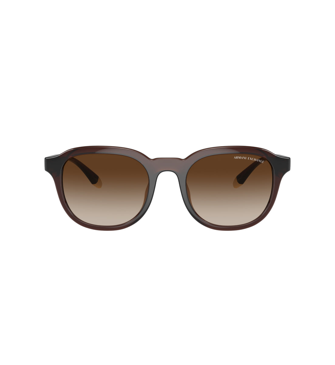 Gafas de Sol Armani Exchange AX4129 SU806313