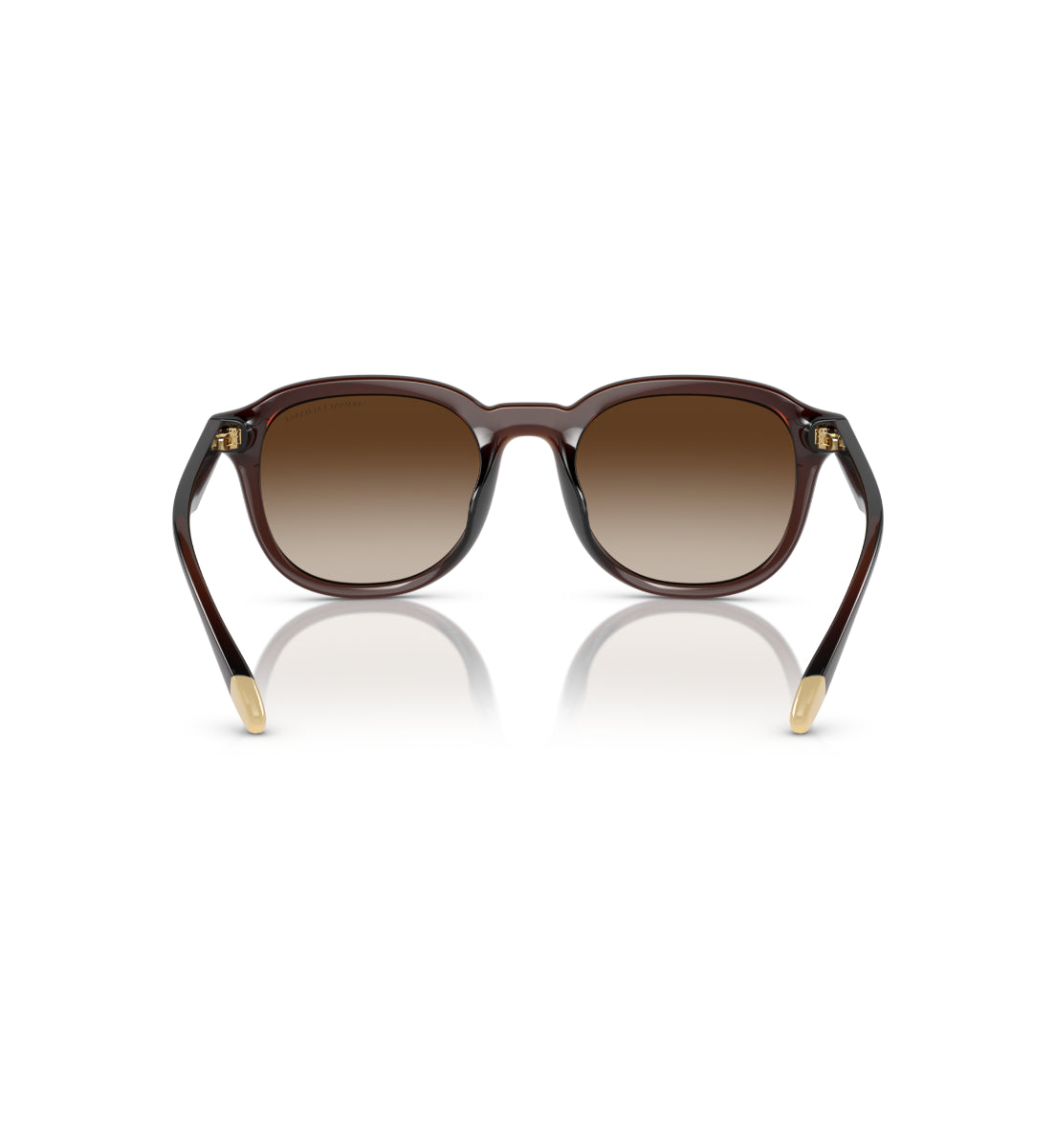 Gafas de Sol Armani Exchange AX4129 SU806313