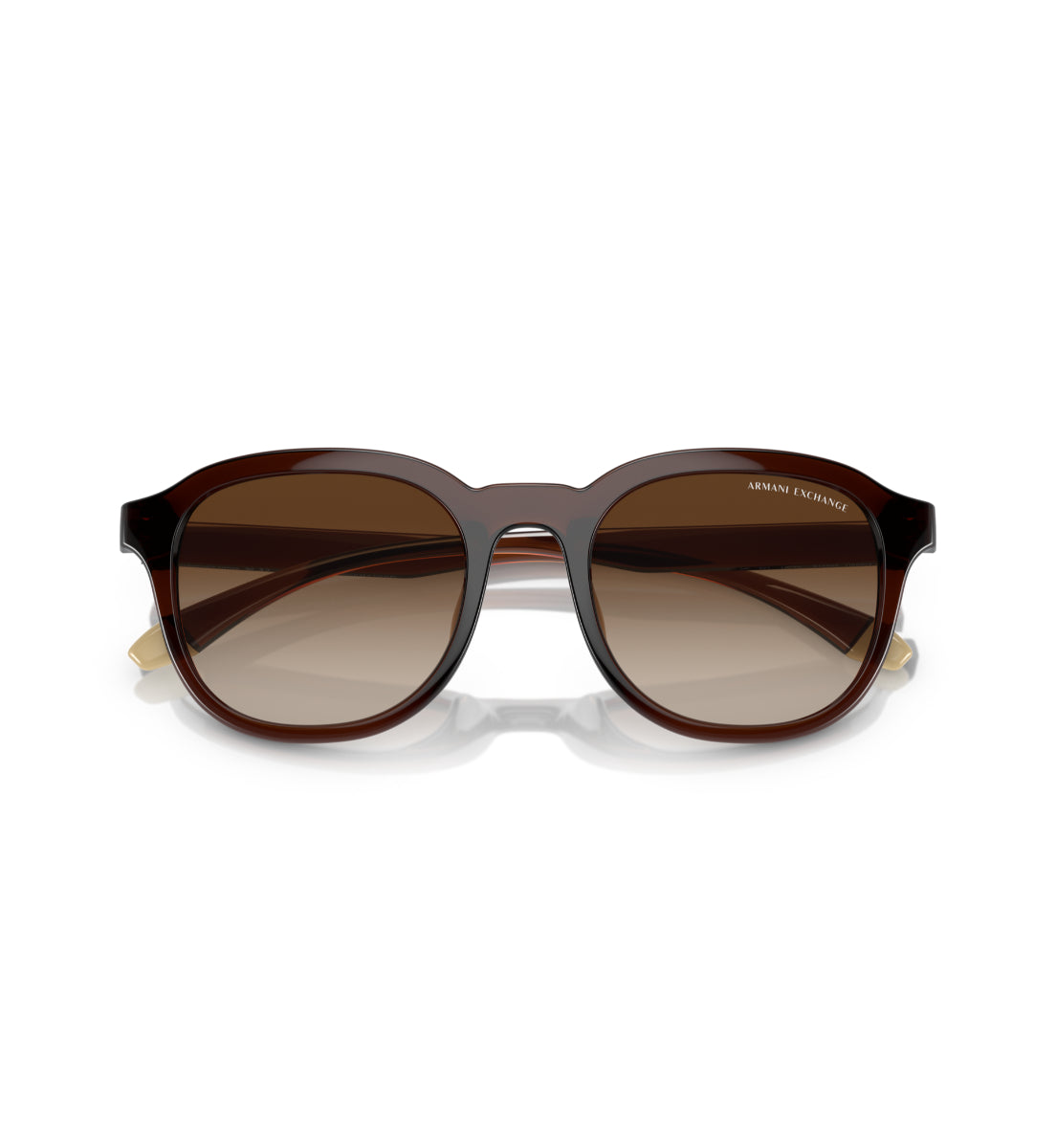 Gafas de Sol Armani Exchange AX4129 SU806313