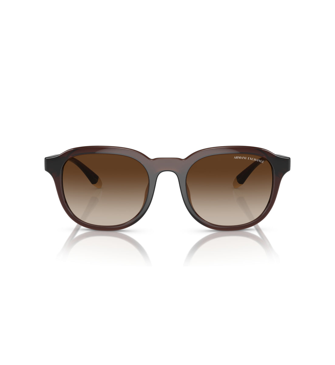 Gafas de Sol Armani Exchange AX4129 SU806313