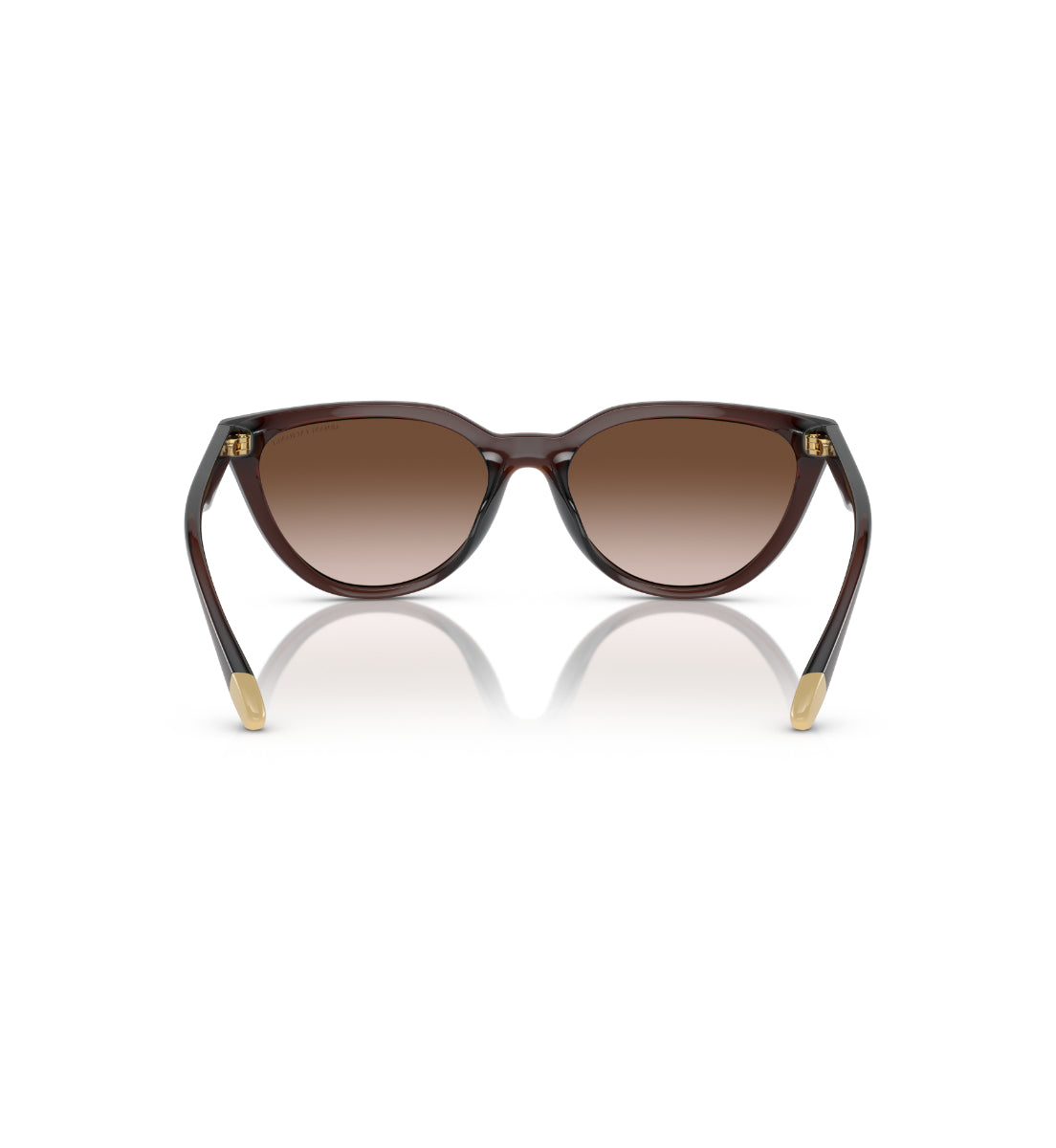 Gafas de Sol Armani Exchange AX4130 SU806313