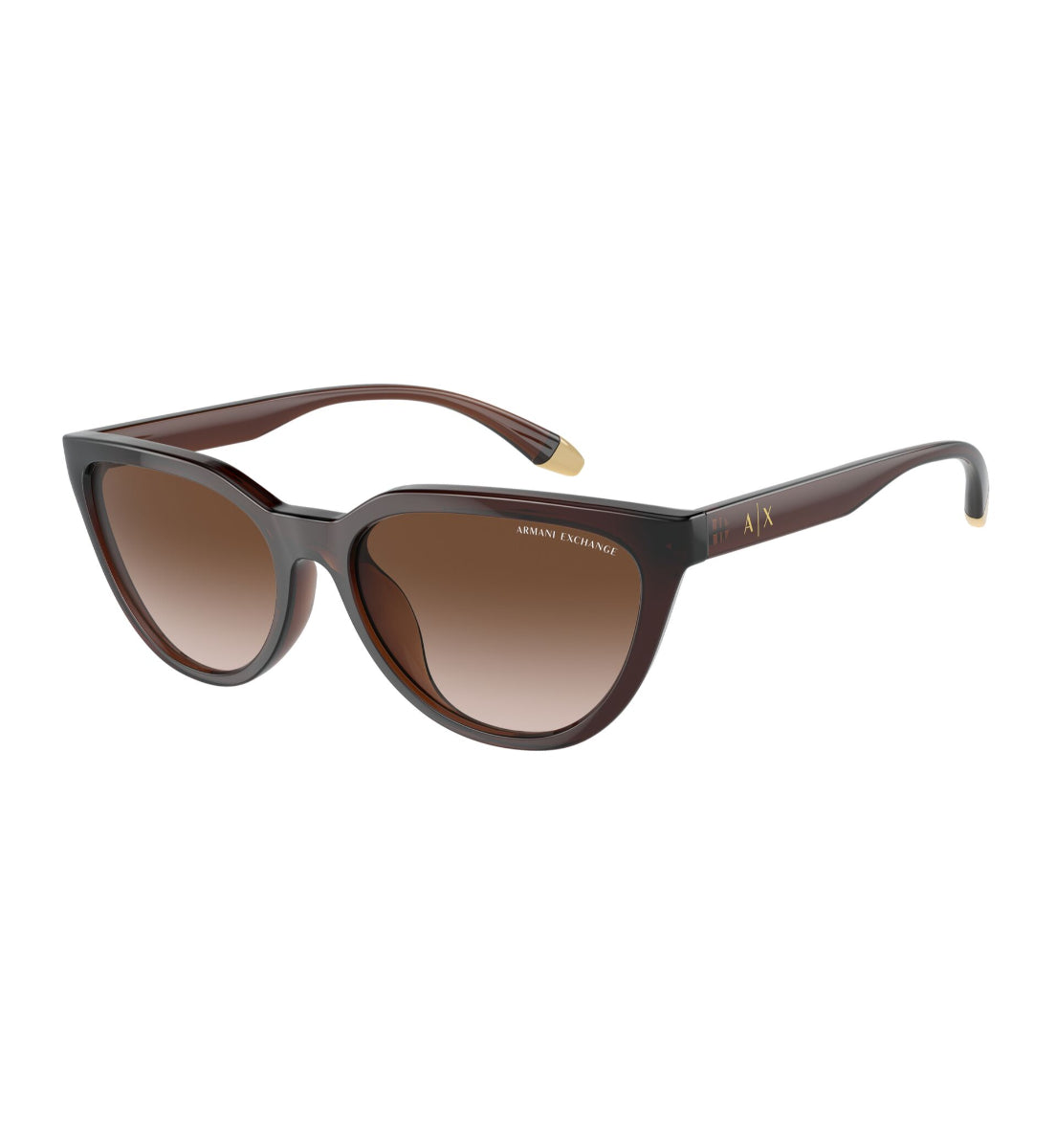 Gafas de Sol Armani Exchange AX4130 SU806313