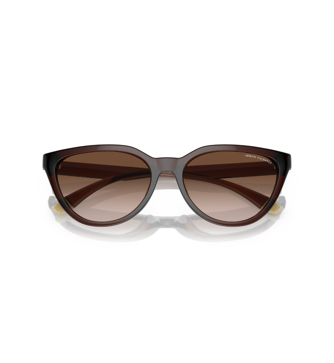 Gafas de Sol Armani Exchange AX4130 SU806313