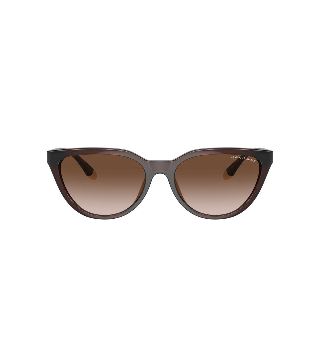 Gafas de Sol Armani Exchange AX4130 SU806313