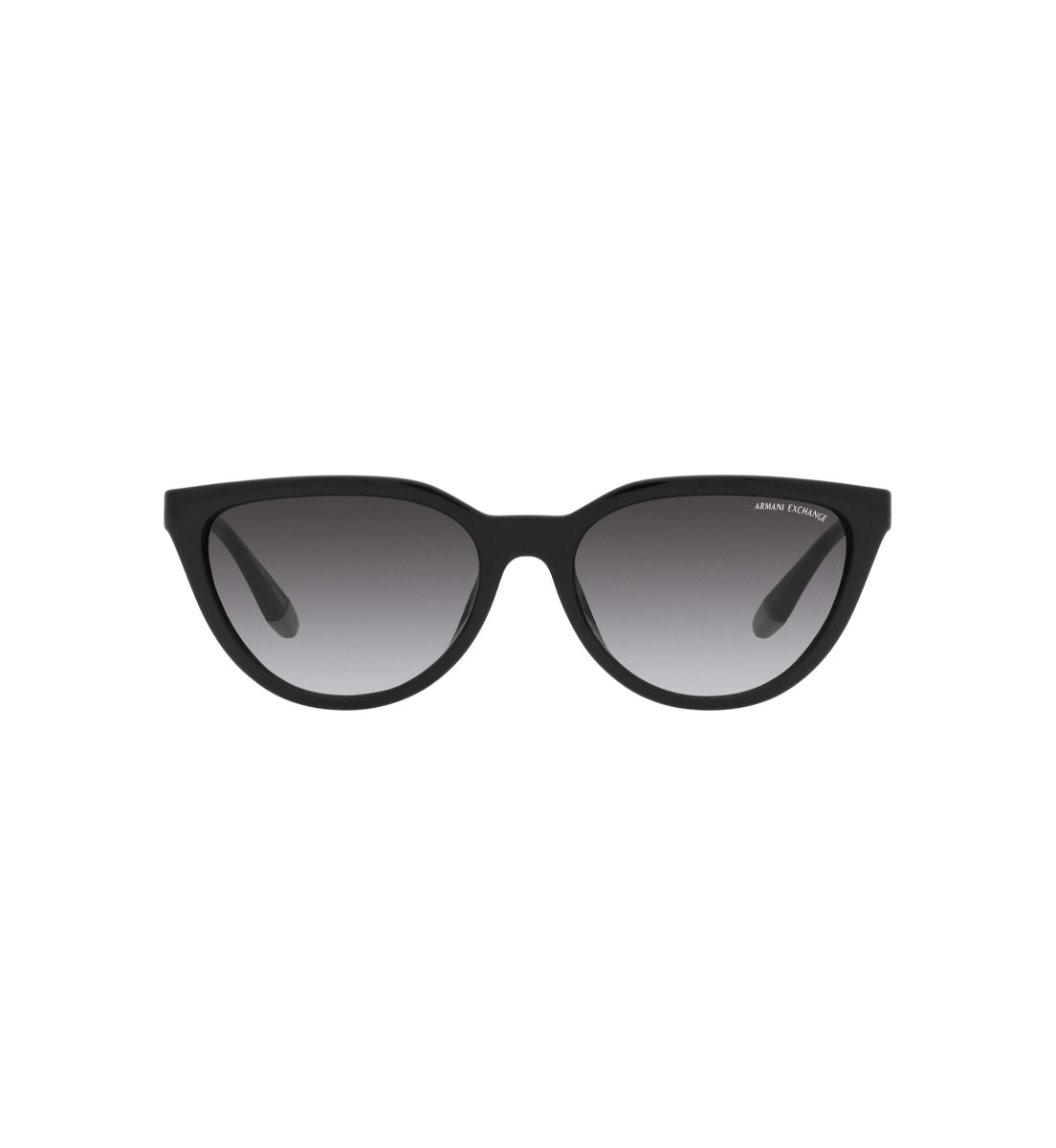Gafas de Sol Armani Exchange AX4130 SU81588G