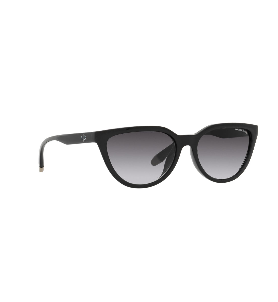 Gafas de Sol Armani Exchange AX4130 SU81588G