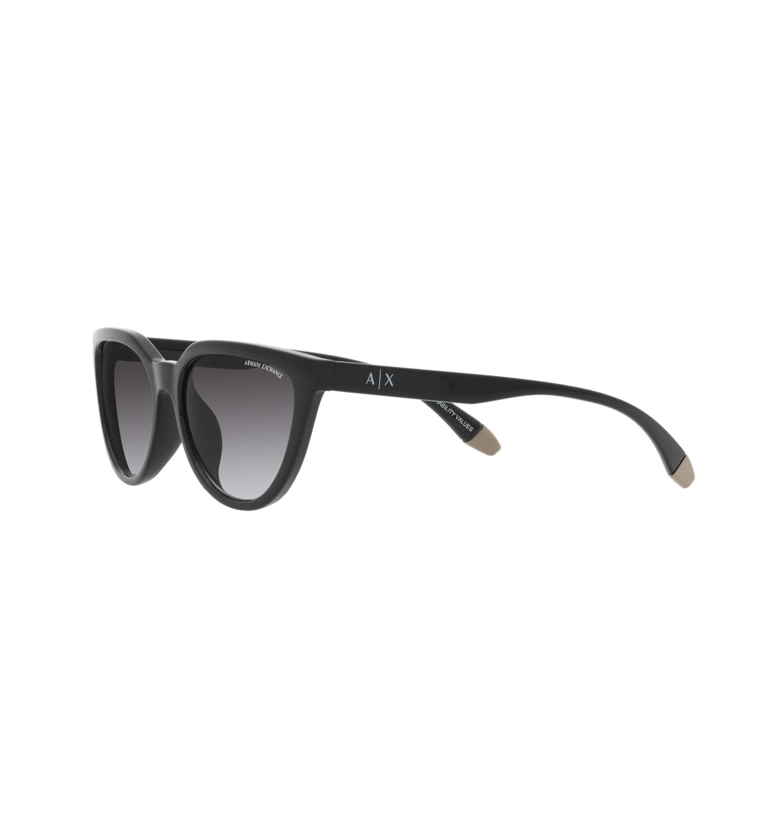 Gafas de Sol Armani Exchange AX4130 SU81588G