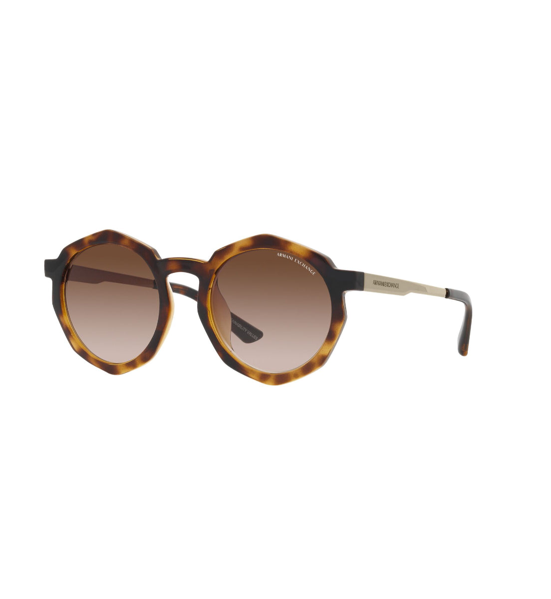 Gafas de Sol Armani Exchange AX4132 SU821313