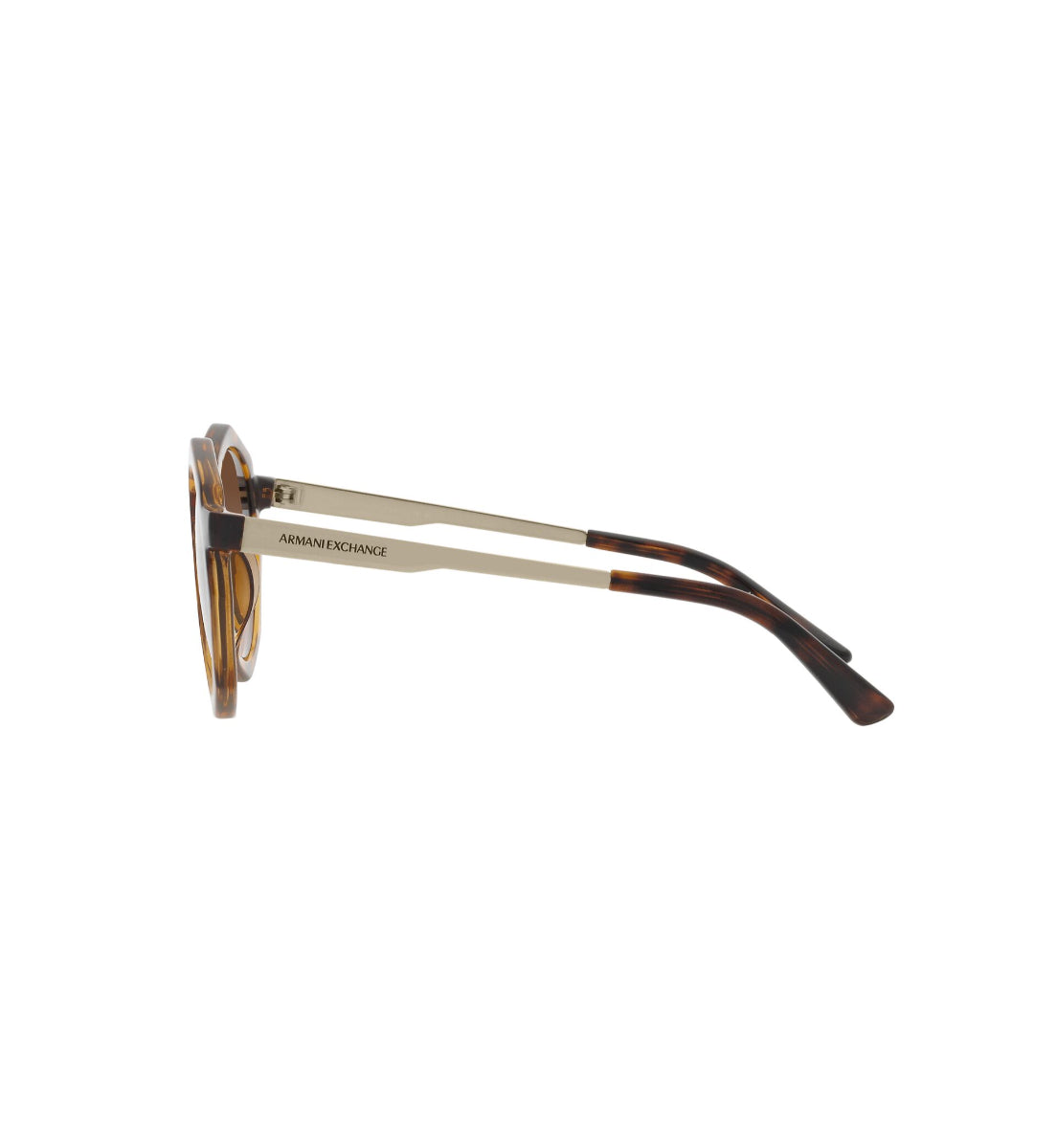 Gafas de Sol Armani Exchange AX4132 SU821313
