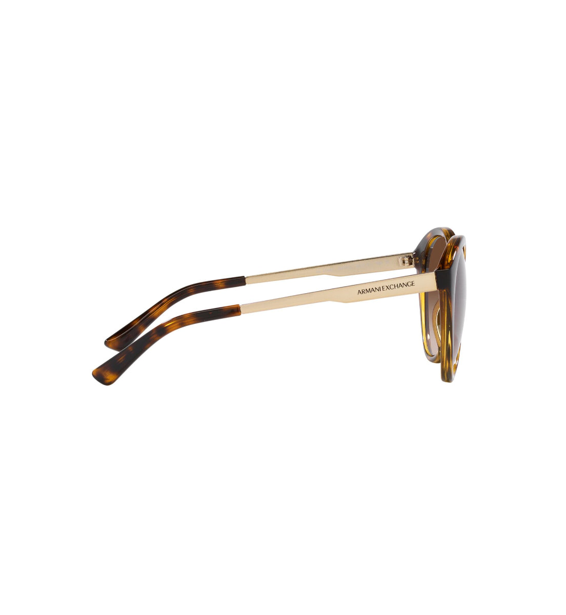 Gafas de Sol Armani Exchange AX4134 S821313