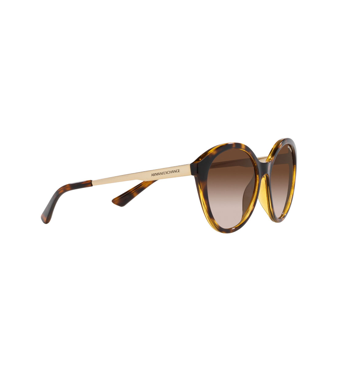 Gafas de Sol Armani Exchange AX4134 S821313