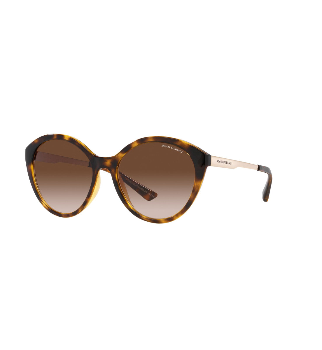 Gafas de Sol Armani Exchange AX4134 S821313