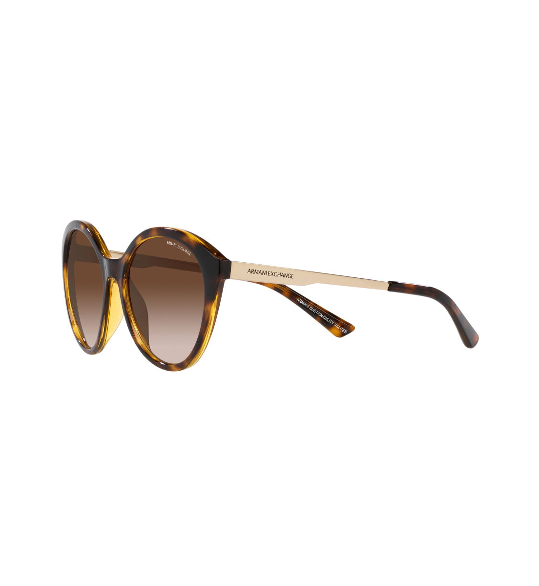 Gafas de Sol Armani Exchange AX4134 S821313