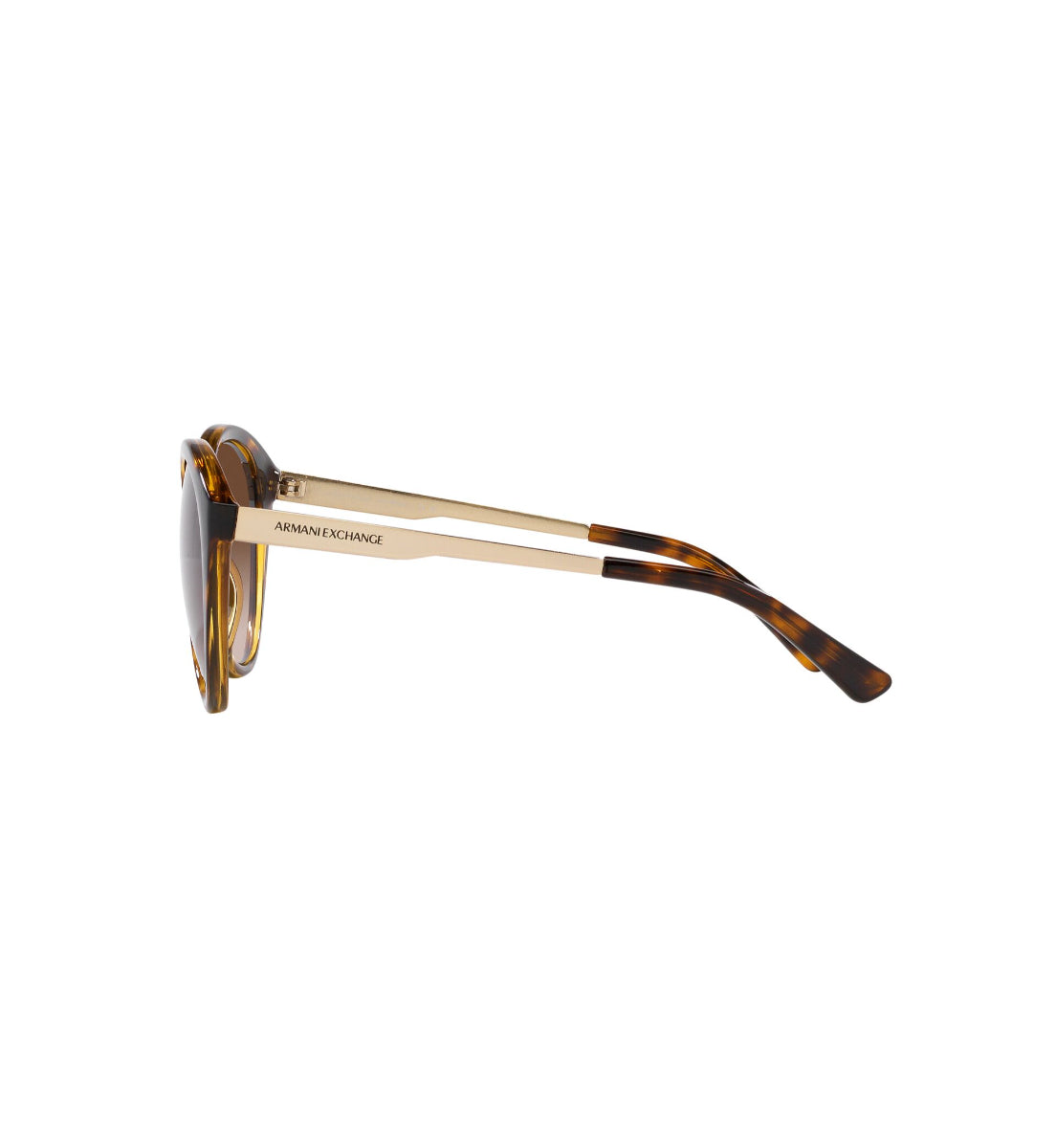Gafas de Sol Armani Exchange AX4134 S821313