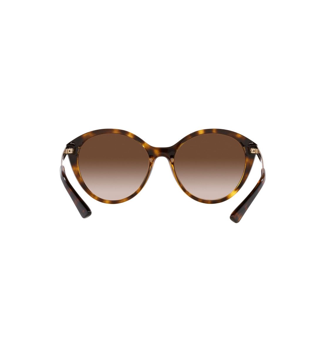 Gafas de Sol Armani Exchange AX4134 S821313