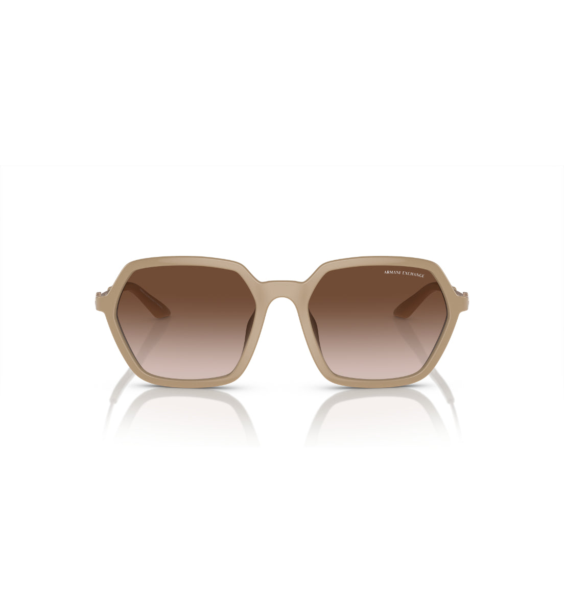 Gafas de Sol Armani Exchange AX4139 SU834213