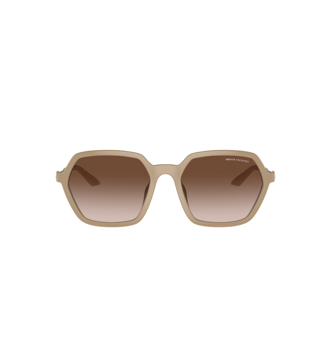 Gafas de Sol Armani Exchange AX4139 SU834213