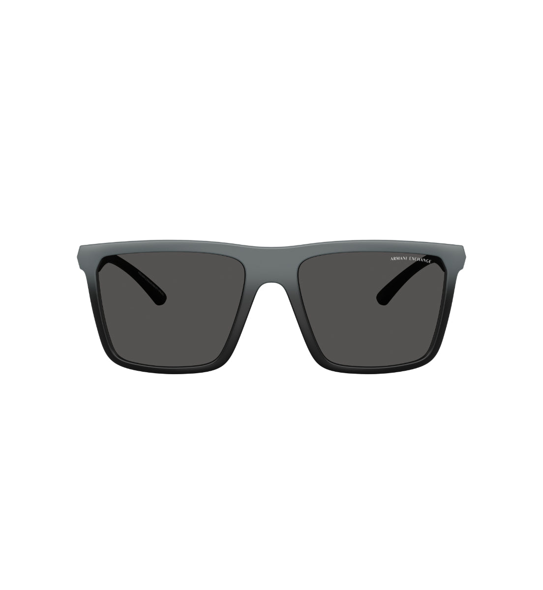 Gafas de Sol Armani Exchange AX4162SU AX4162 838887 57