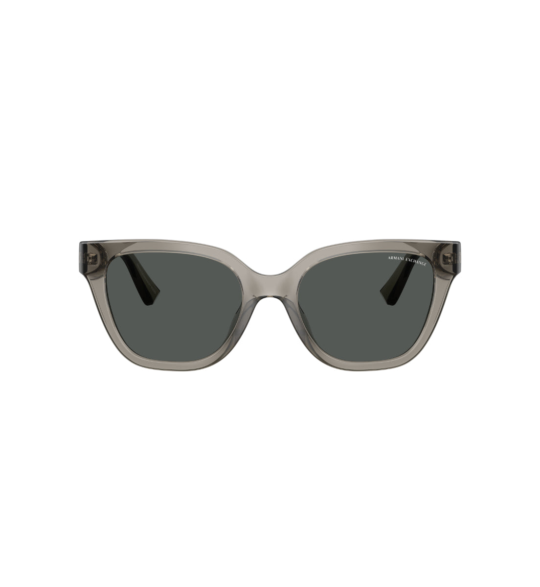Gafas de Sol Armani Exchange AX4164SU AX4164 839487 53