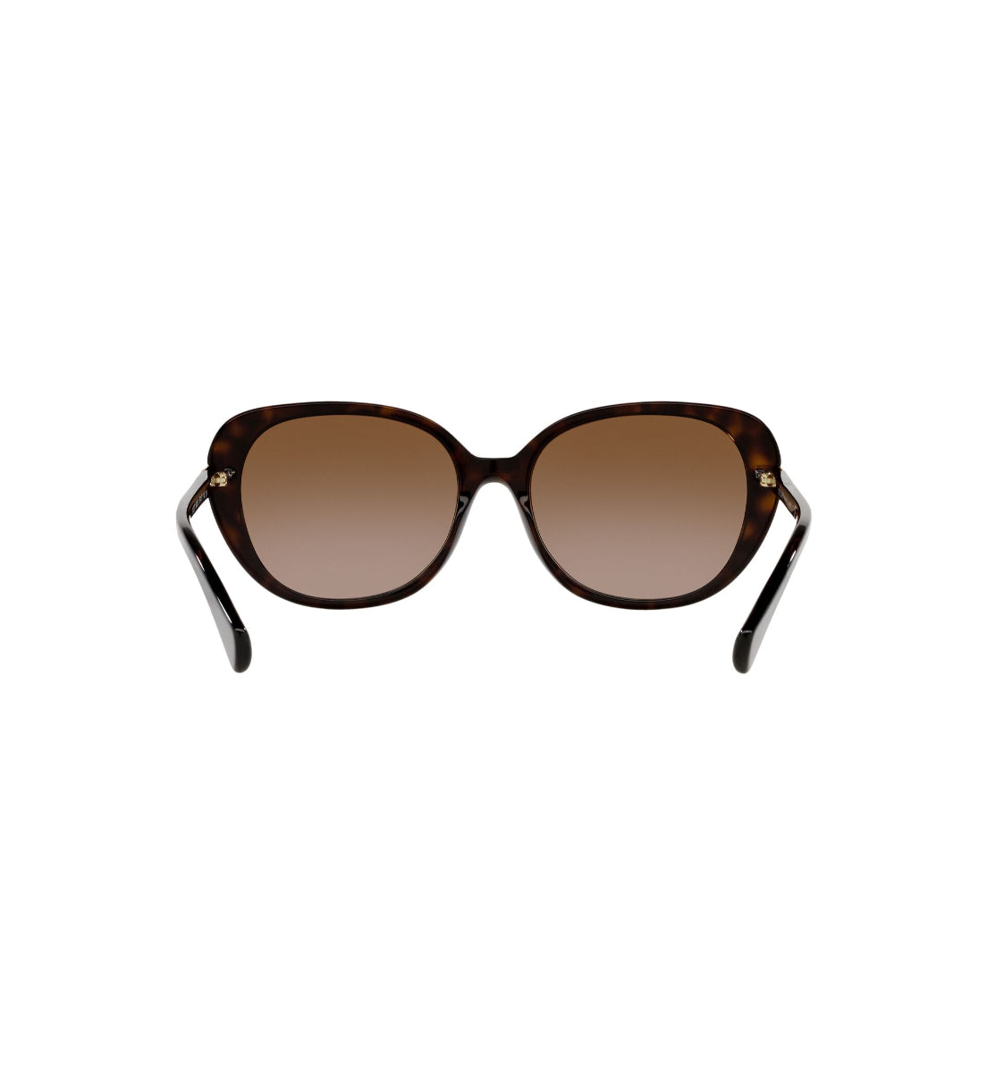 Gafas de Sol Ralph RA5277 500313