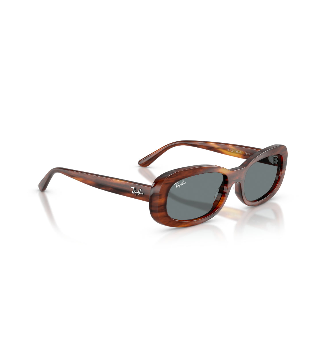 Gafas de Sol Ray-Ban RB2221 95462