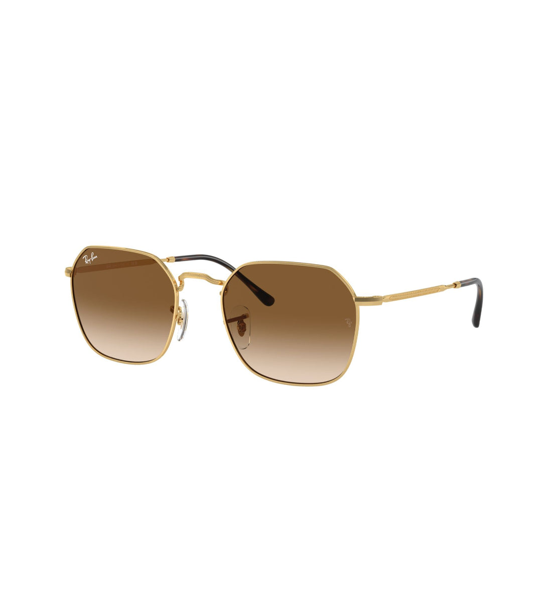 Gafas de Sol Ray-Ban Jim RB3694 001/51 55