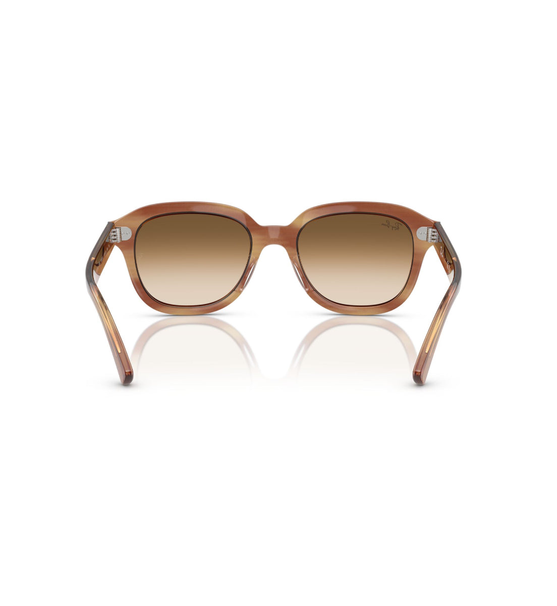 Gafas de Sol Ray-Ban Erik RB4398 140351 51