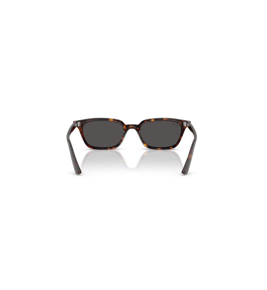 Gafas de Sol Ray-Ban Zaya RB4456 135987